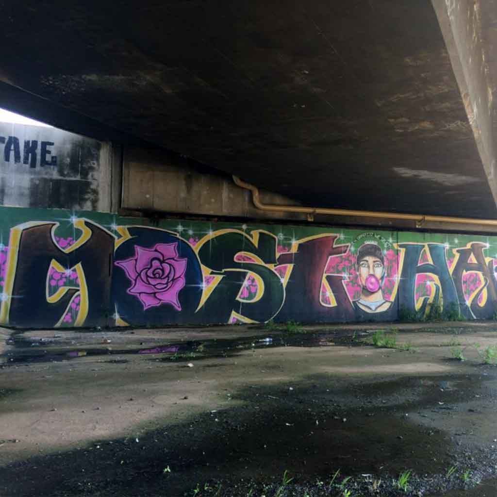 jhb-graffiti-at-emmarentia-dam-2017