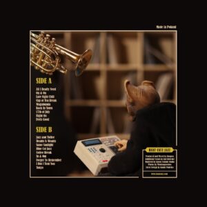 emapea-beat-cats-jazz-album-cover-back