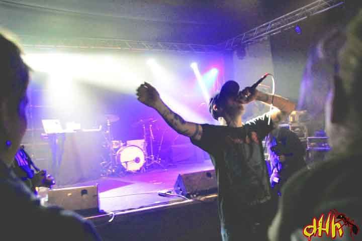 Strasbourg-13---MC-Homeless